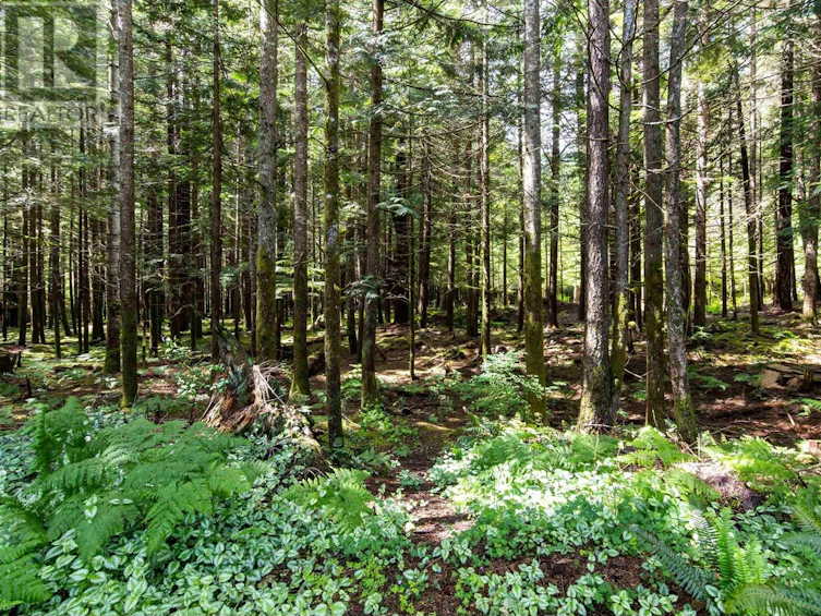 41957 Ross Road, Squamish, BC, V0M 1H0 - 39