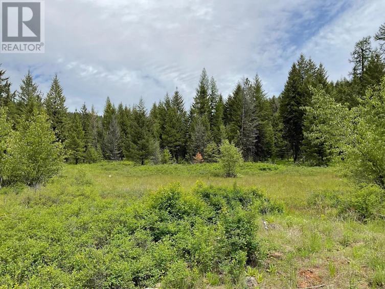 Lot-1 Nicholson Creek Road, Rock Creek, BC, V0H 1Y0 - 16