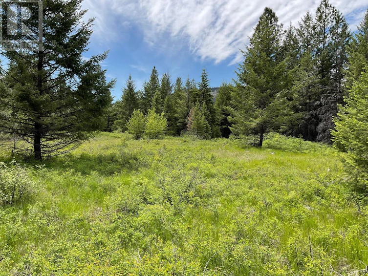 Lot-1 Nicholson Creek Road, Rock Creek, BC, V0H 1Y0 - 18
