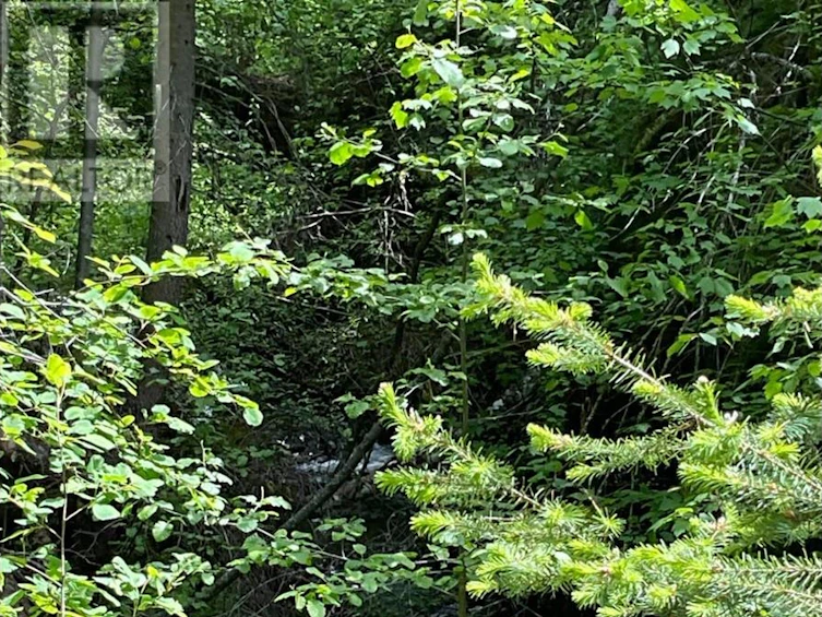 Lot-1 Nicholson Creek Road, Rock Creek, BC, V0H 1Y0 - 2