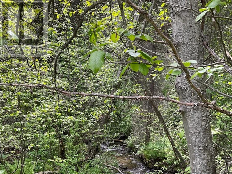 Lot-1 Nicholson Creek Road, Rock Creek, BC, V0H 1Y0 - 5