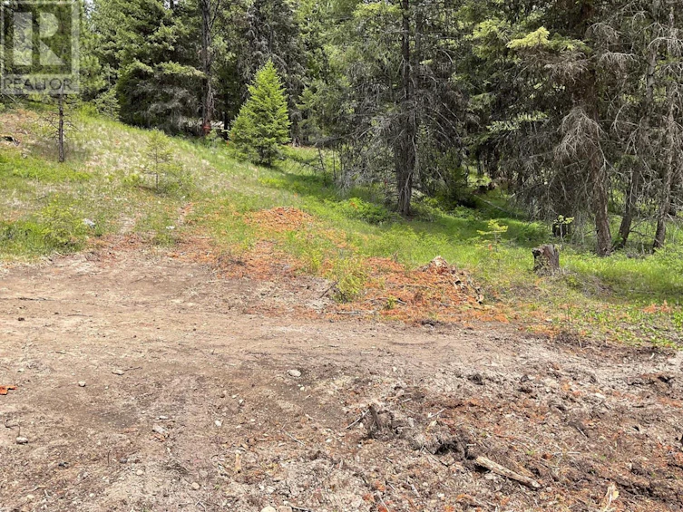 Lot-1 Nicholson Creek Road, Rock Creek, BC, V0H 1Y0 - 8