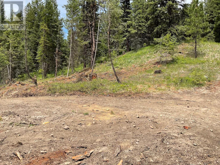 Lot-1 Nicholson Creek Road, Rock Creek, BC, V0H 1Y0 - 9