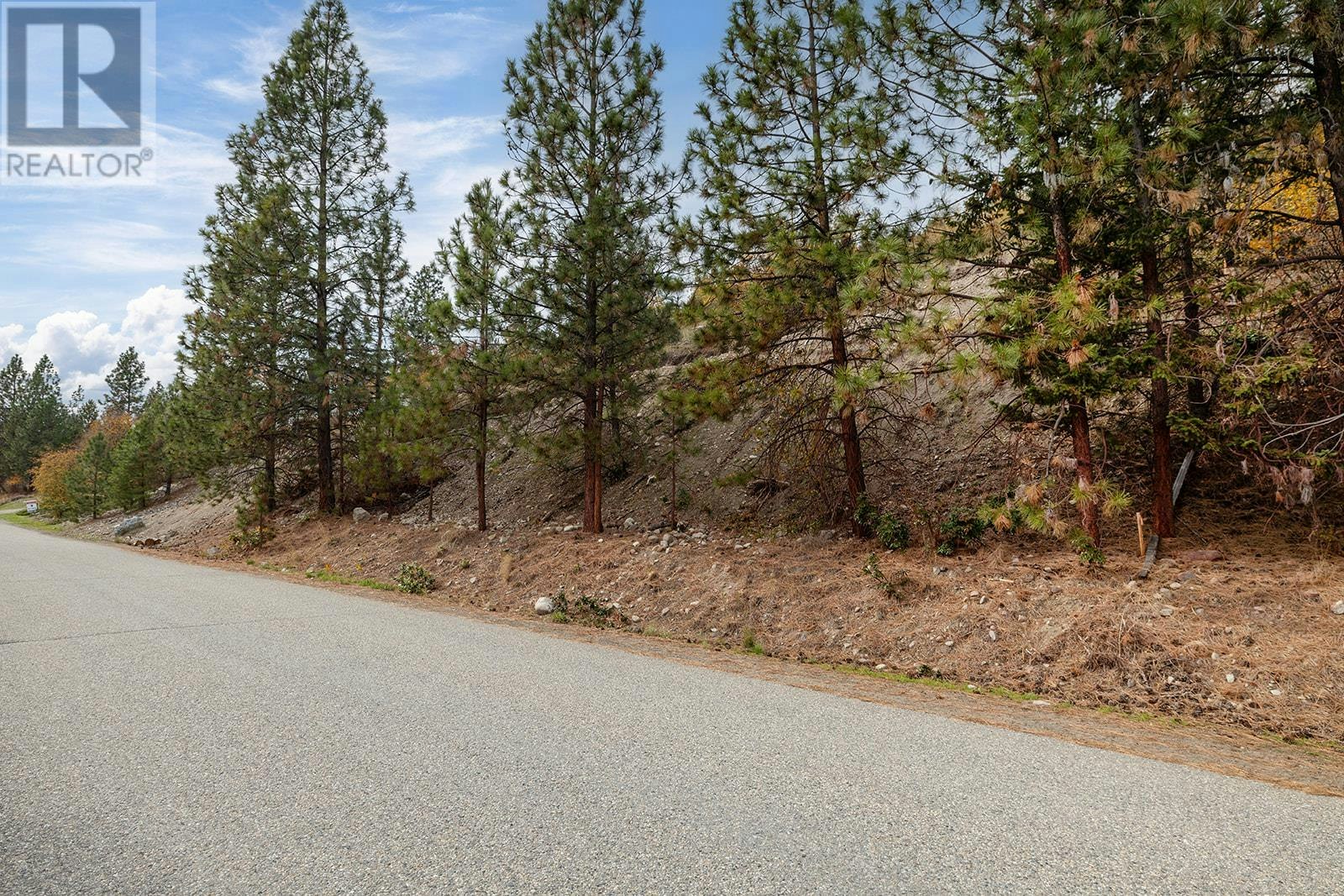 450 Mountain Drive, West Kelowna, BC, V1H 3C2 - 8