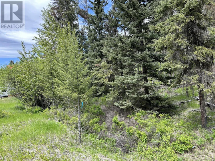 327 Poplar Drive Drive, Logan Lake, BC, V0K 1W0