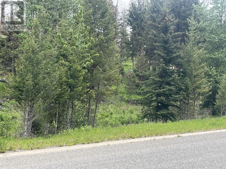 327 Poplar Drive Drive, Logan Lake, BC, V0K 1W0 - 2