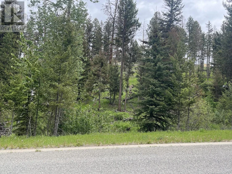 327 Poplar Drive Drive, Logan Lake, BC, V0K 1W0 - 3