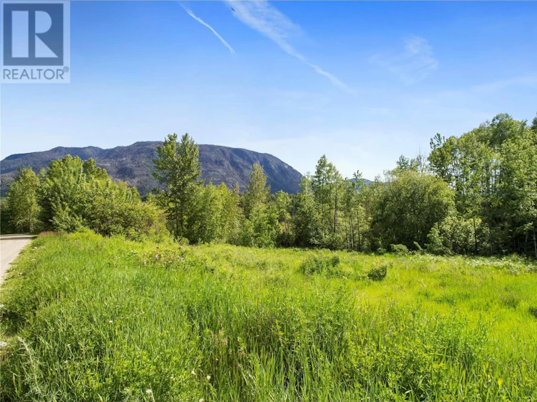 38-2481 Squilax Anglemont Road, Lee Creek, BC, V0E 1M4 - 19