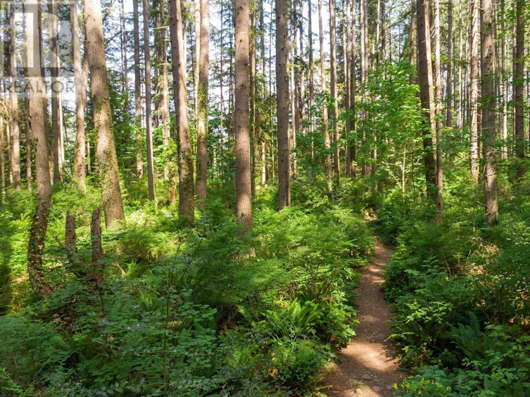 LOT-17 Riverside Drive, North Vancouver, BC, V7H 1V5 - 16