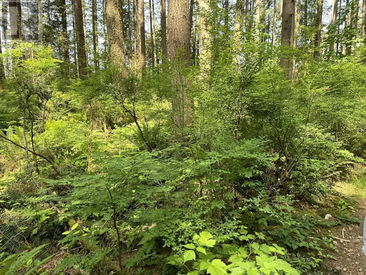 LOT-17 Riverside Drive, North Vancouver, BC, V7H 1V5 - 4