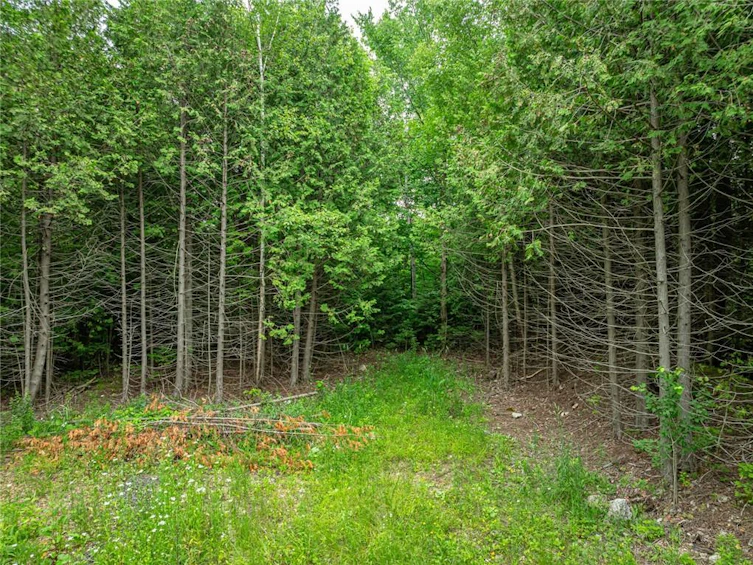 31 8th Concession B, Grey Highlands, ON, N0C 1M0 - 3