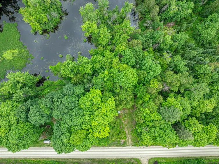 31 8th Concession B, Grey Highlands, ON, N0C 1M0 - 4