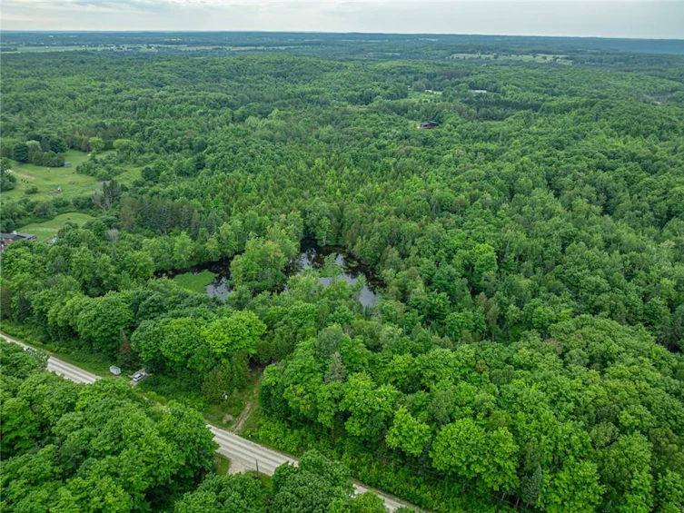 31 8th Concession B, Grey Highlands, ON, N0C 1M0 - 7