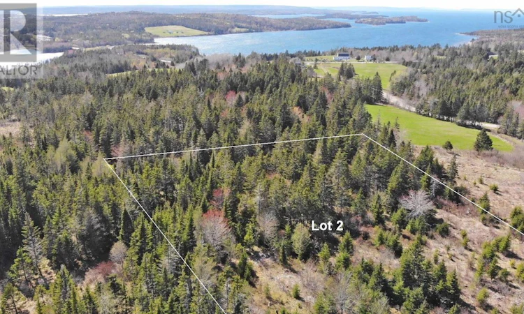 Lot-2 Old Trunk 4 Highway