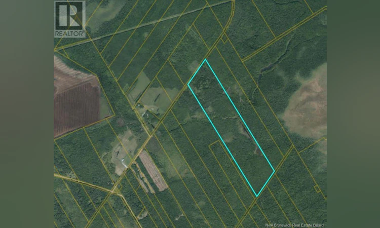 Lot-40 Mclean Settlement