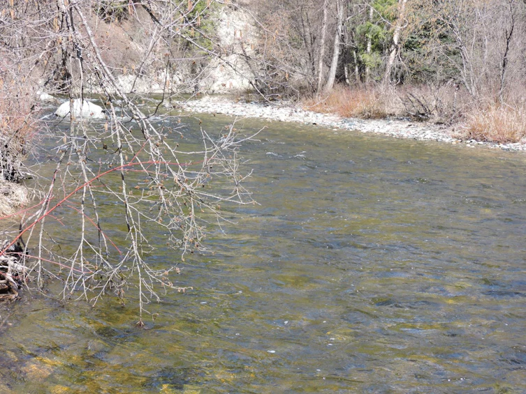 1660 Highway 3, Midway, BC, V0H 1M0 - 25
