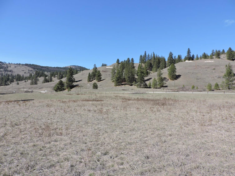 1660 Highway 3, Midway, BC, V0H 1M0 - 8