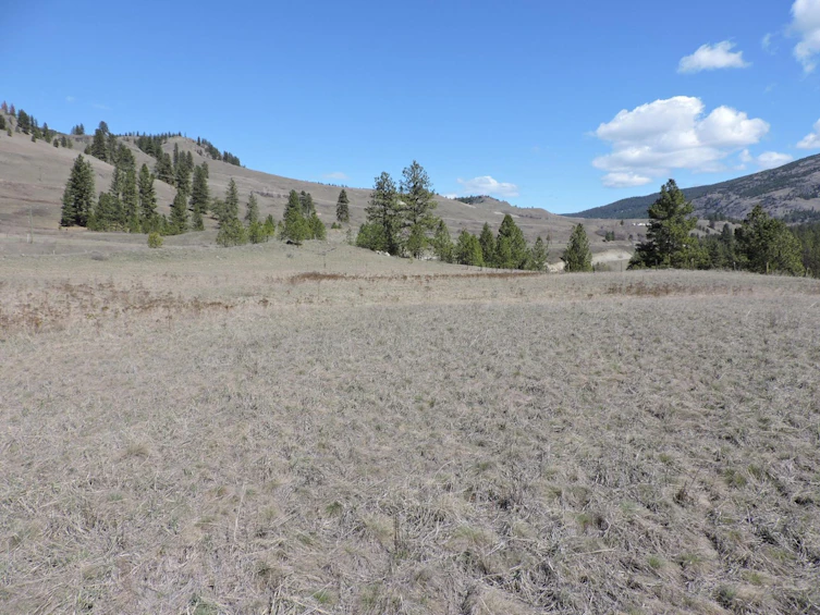 1660 Highway 3, Midway, BC, V0H 1M0 - 9