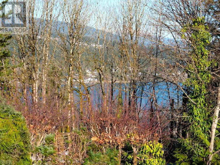 481 Mcgill Drive, Port Moody, BC, V3H 1T8 - 16