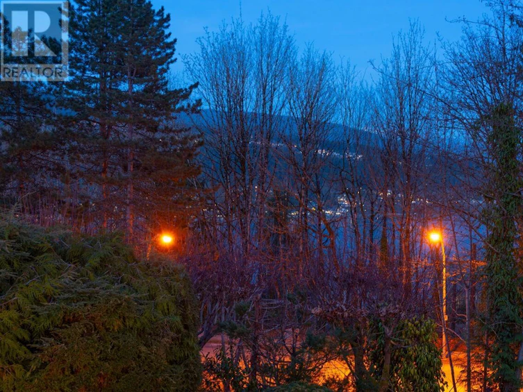 481 Mcgill Drive, Port Moody, BC, V3H 1T8 - 17