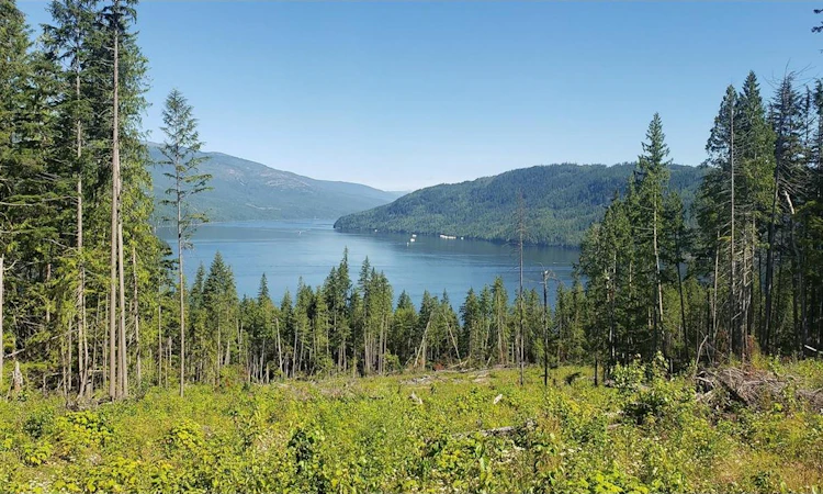 Lot-1 Kalli Bay