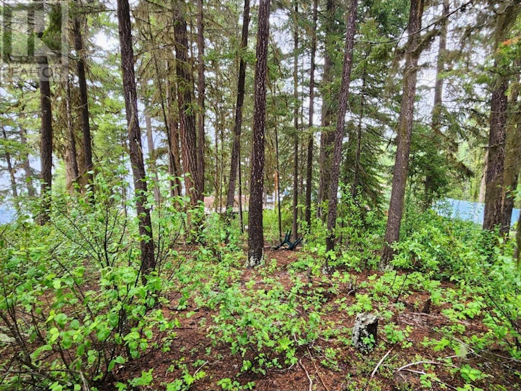7260 Gun Lake West We Road, Whistler, BC, V0K 1P0 - 17