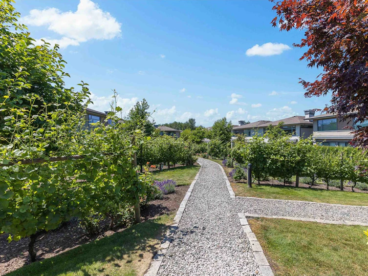 1-2603 162, Surrey, BC, V3Z 2L4 - 38