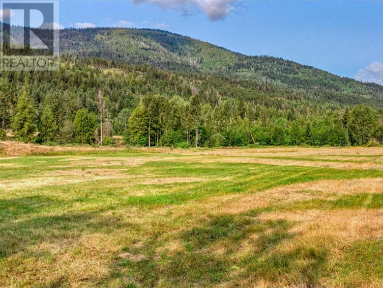 4117 Dear Road, Falkland, BC, V0E 1W1 - 45
