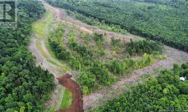 Lot-19 Crabbe Mountain