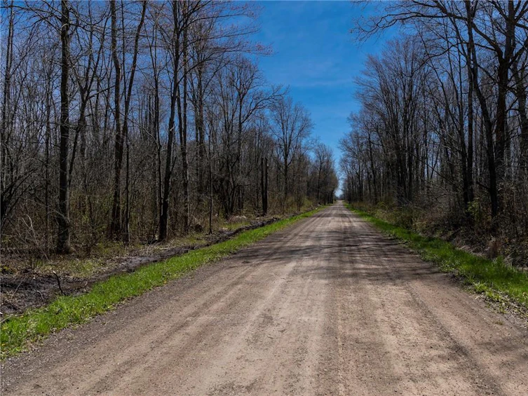 33 Conc 1, Sherkston Road, Fort Erie, ON, L0S 1N0 - 6