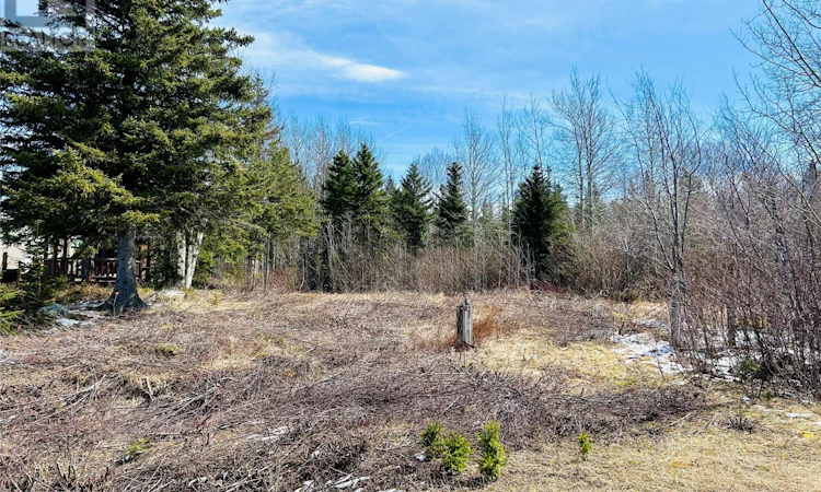 56 Pleasantview Road