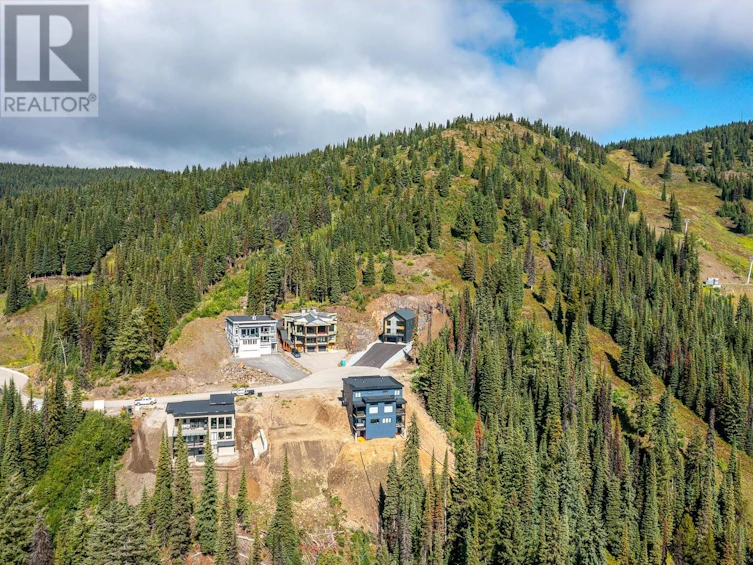 9998 Cathedral Drive, Silver Star, BC, V1B 3X6 - 5