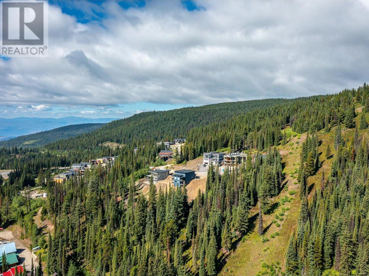 9998 Cathedral Drive, Silver Star, BC, V1B 3X6 - 6