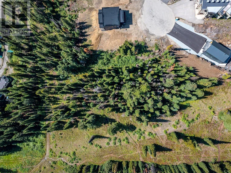 9998 Cathedral Drive, Silver Star, BC, V1B 3X6 - 9