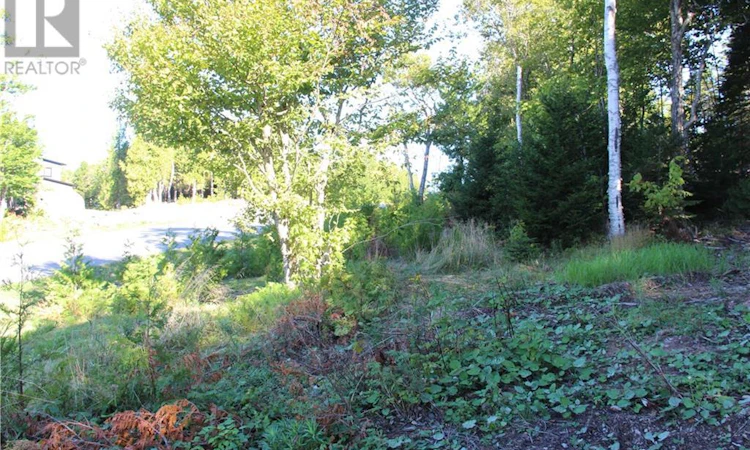 00 Shoreline Drive
