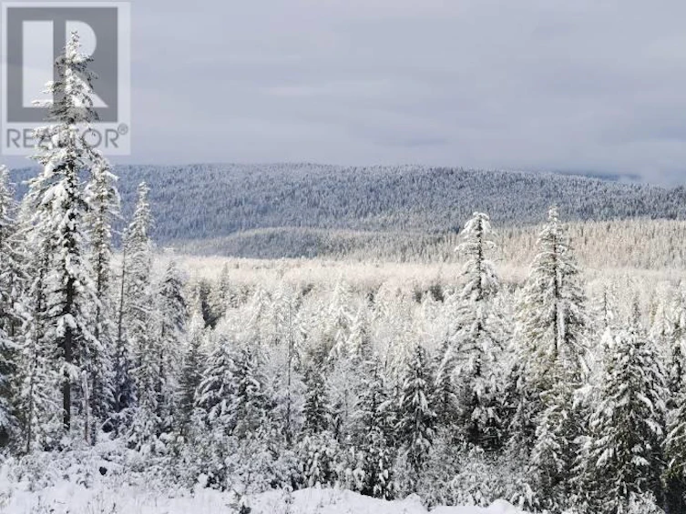 1446 Nittel Road, Seymour Arm, BC, V0E 1M0 - 79