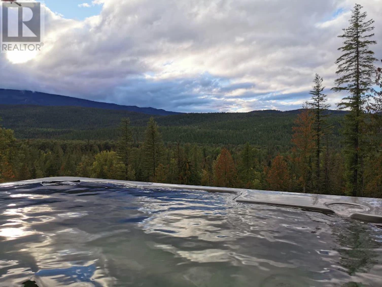 1446 Nittel Road, Seymour Arm, BC, V0E 1M0 - 80