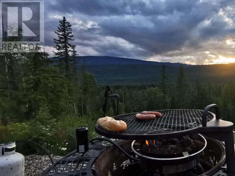 1446 Nittel Road, Seymour Arm, BC, V0E 1M0 - 39
