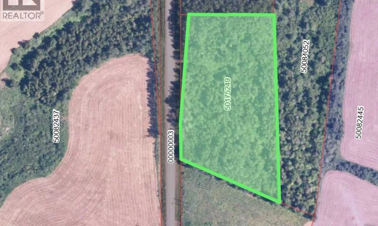 Vacant Lot Noel Road