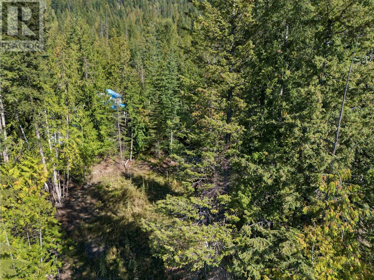 7308 Estate Place, Anglemont, BC, V0E 1M8 - 8