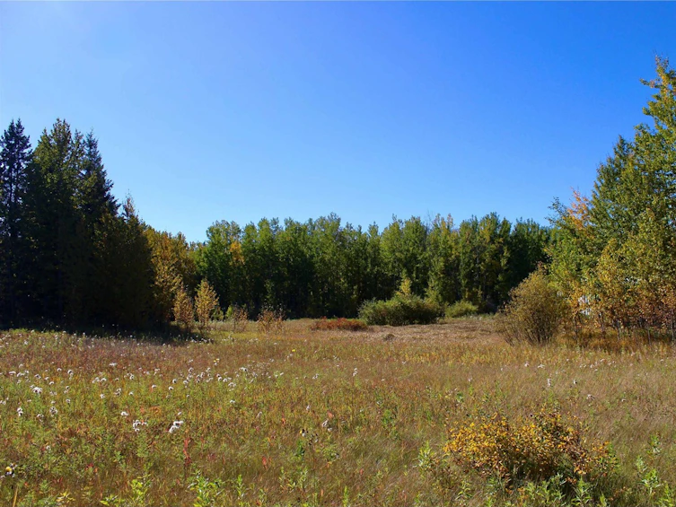 113-50529 Rge 21 Road, Rural Parkland County, AB, T0E 2N4
