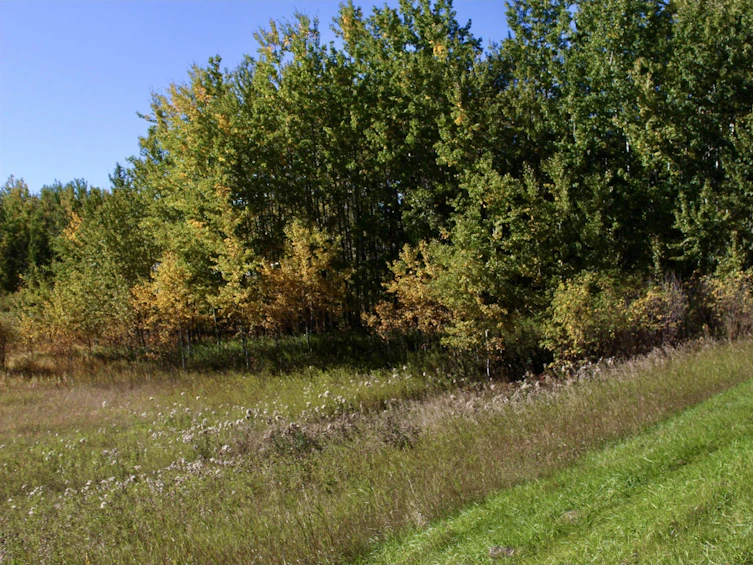 113-50529 Rge 21 Road, Rural Parkland County, AB, T0E 2N4 - 5