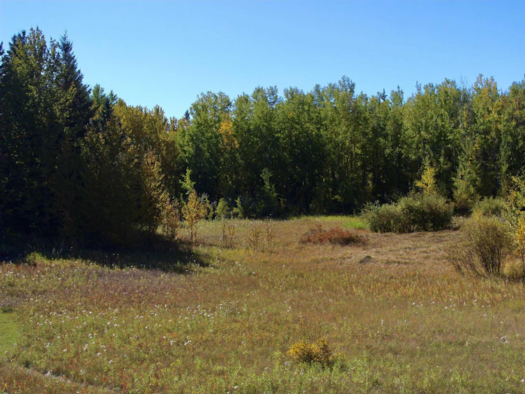 113-50529 Rge 21 Road, Rural Parkland County, AB, T0E 2N4 - 6