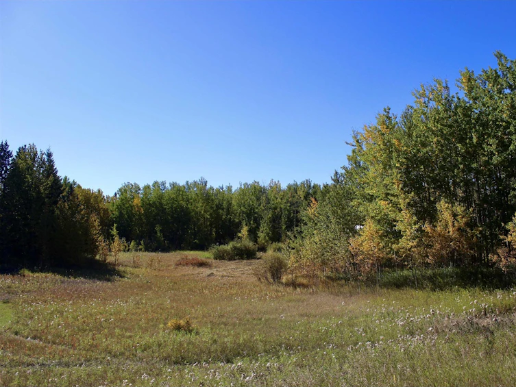 113-50529 Rge 21 Road, Rural Parkland County, AB, T0E 2N4 - 8