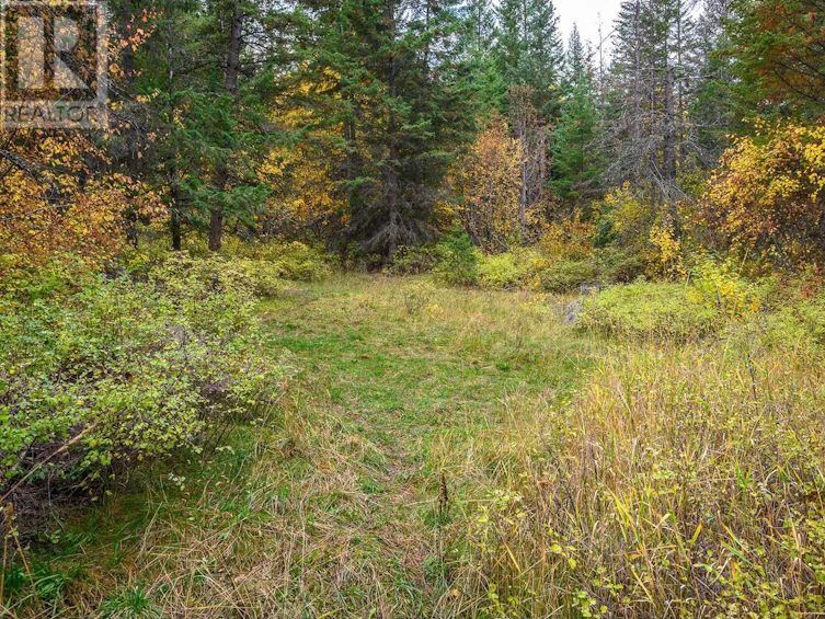 105 Bluenose Road, Lumby, BC, V1B 3E7 - 11