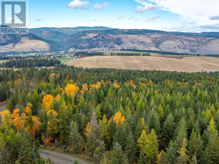 105 Bluenose Road, Lumby, BC, V1B 3E7 - 18