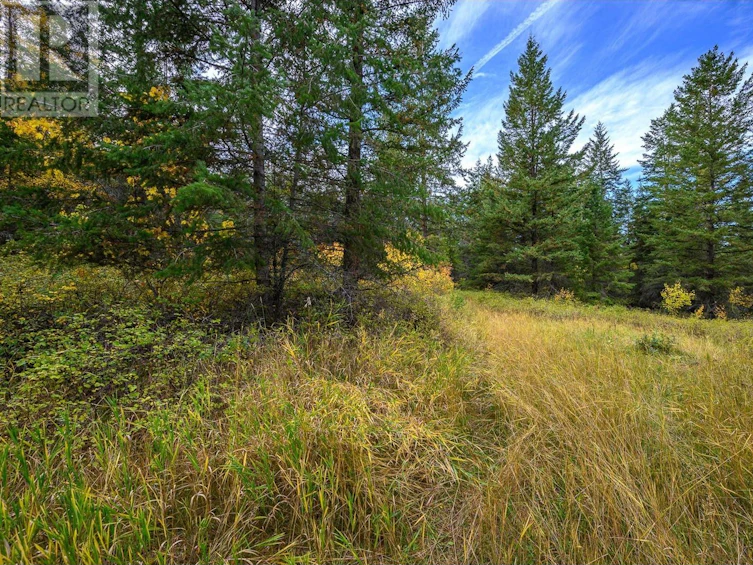 105 Bluenose Road, Lumby, BC, V1B 3E7 - 3