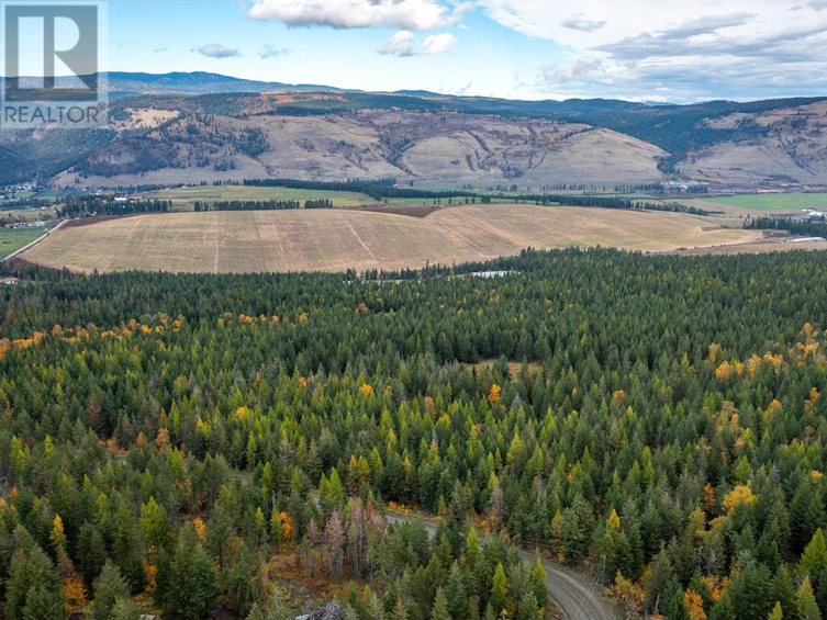 105 Bluenose Road, Lumby, BC, V1B 3E7 - 32