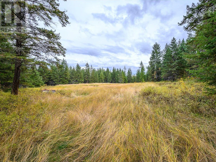 105 Bluenose Road, Lumby, BC, V1B 3E7 - 4