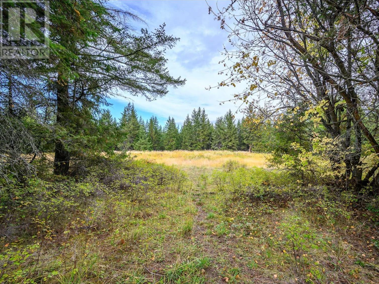 105 Bluenose Road, Lumby, BC, V1B 3E7 - 6